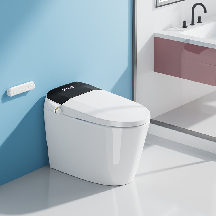 Умный электронный унитаз с авт – обзор и цена Home And Bathroom