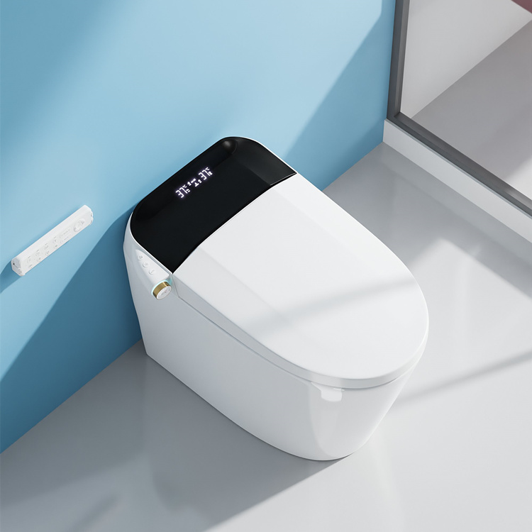Умный электронный унитаз с авт – обзор и цена Home And Bathroom