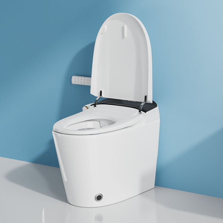 Умный электронный унитаз с авт – обзор и цена Home And Bathroom
