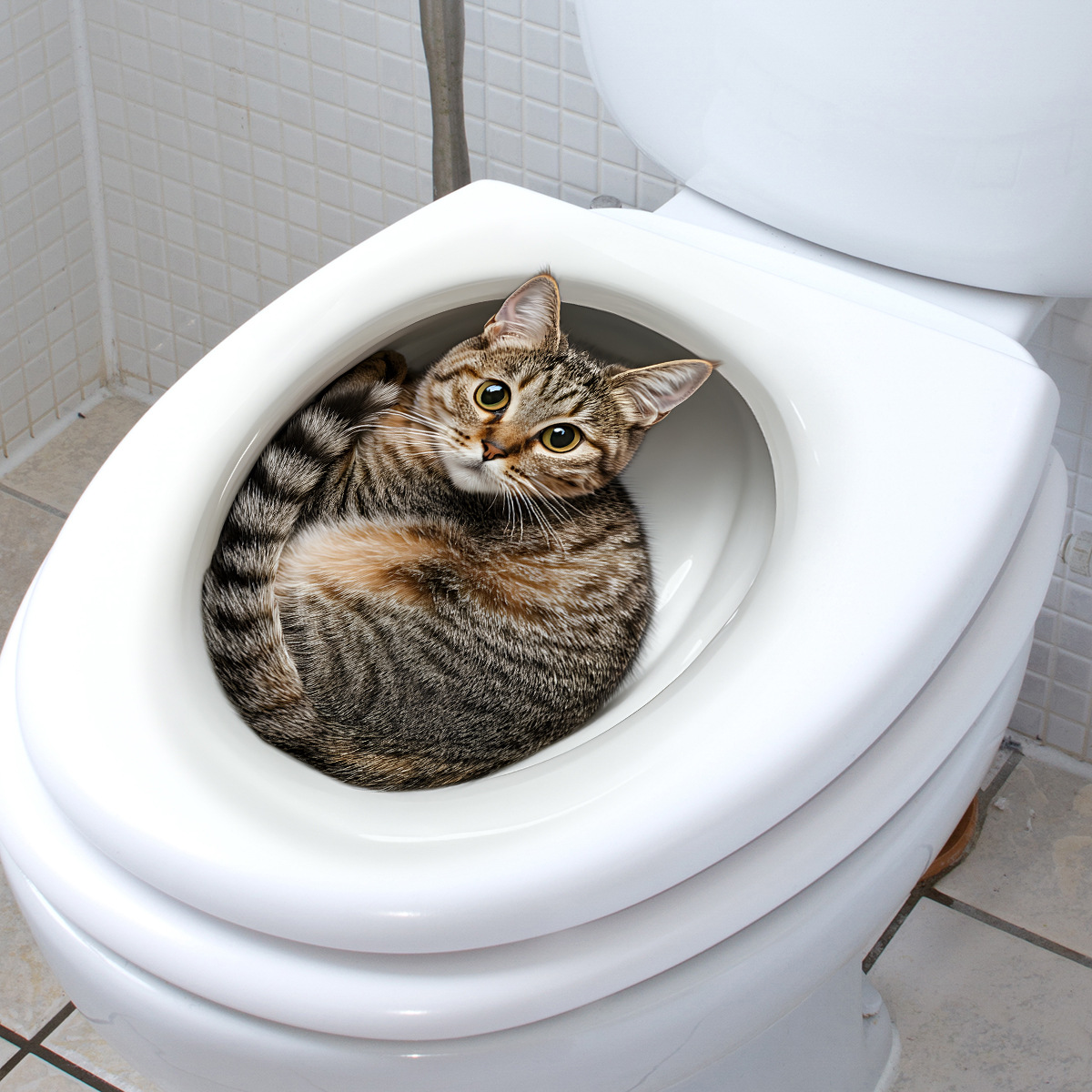 3D забавная наклейка на унитаз – обзор и цена Home Bathroom Gadgets